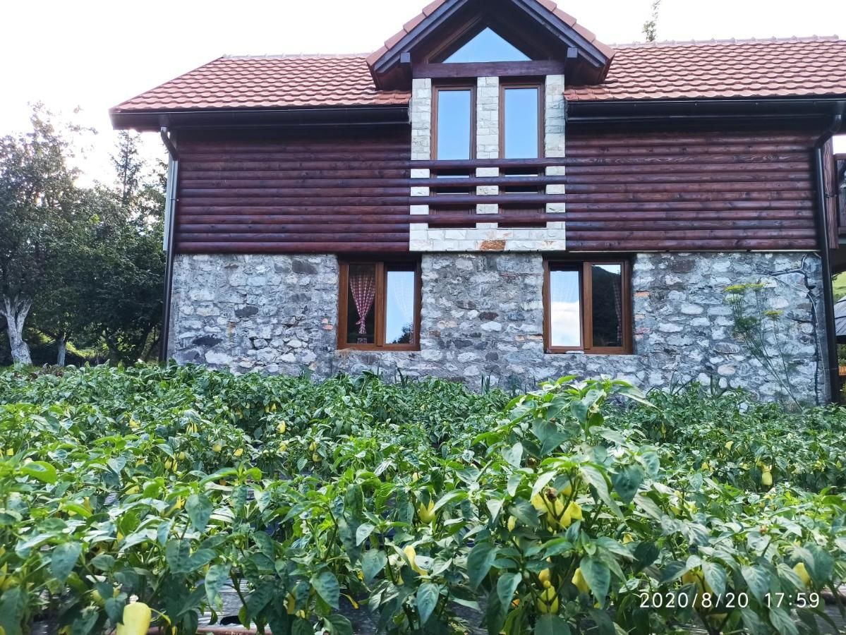Апартаменты Ethno Village Štitarica Мойковац-5