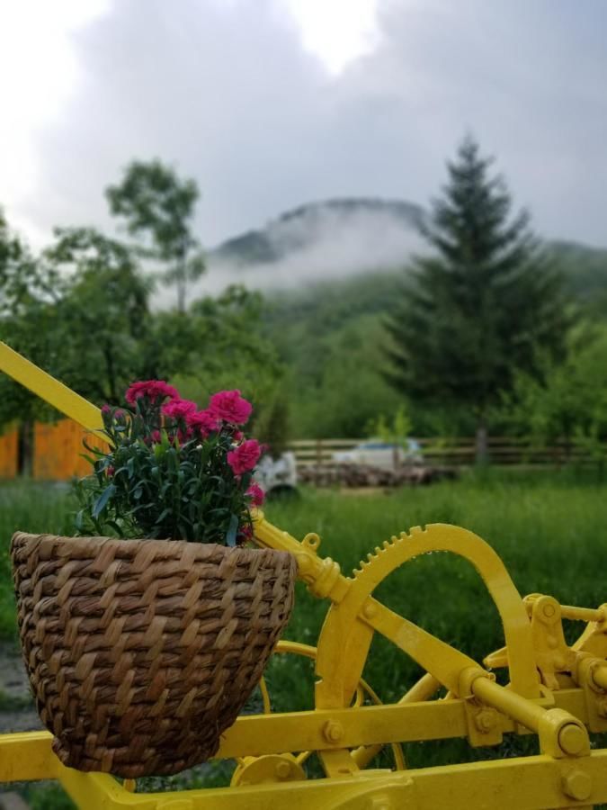 Апартаменты Ethno Village Štitarica Мойковац-24