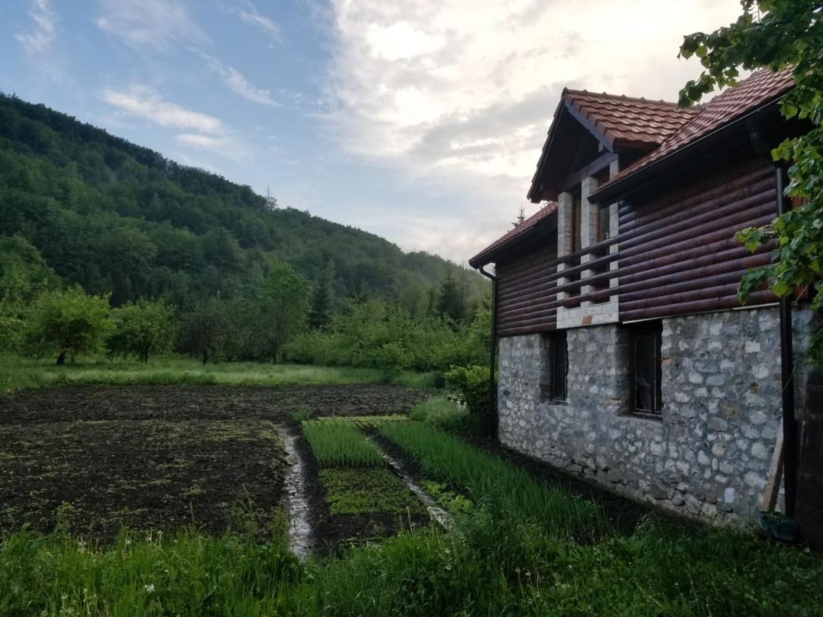 Апартаменты Ethno Village Štitarica Мойковац