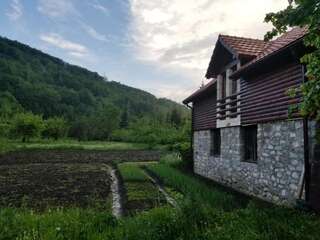 Апартаменты Ethno Village Štitarica Мойковац Апартаменты с 1 спальней-4